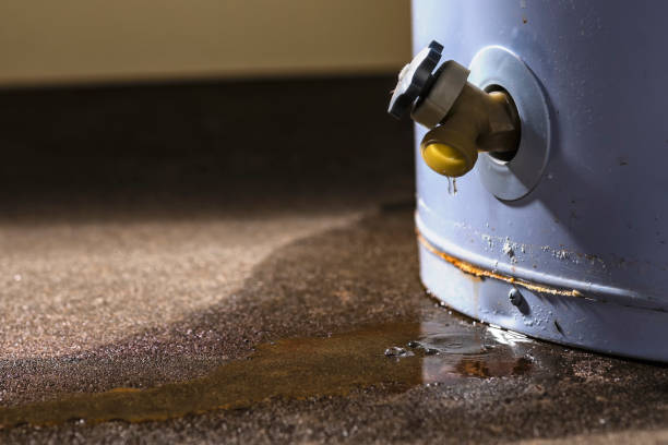 Best Water damage contractors near me  in Lockport Heights, LA