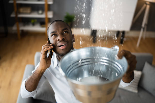 Best Flooded house restoration  in Lockport Heights, LA