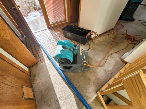 Best Fire Damage Restoration  in Lockport Heights, LA