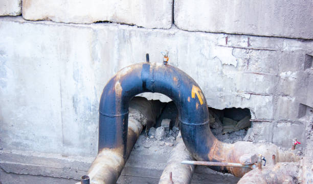 Best Professional water damage repair  in Lockport Heights, LA